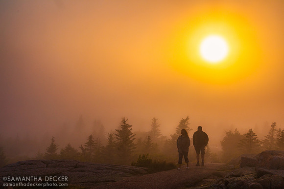 Cadillac Mountain Silhouettes, Acadia National Park