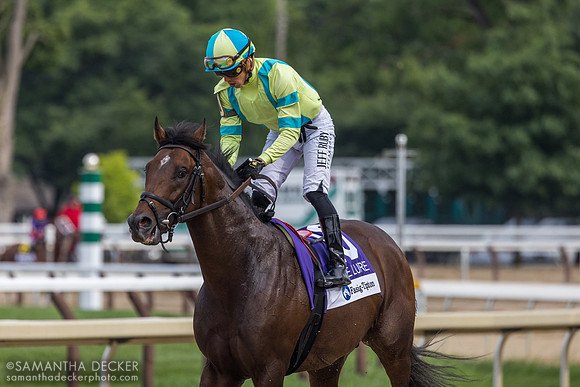Film Star, winner of the Lure S.