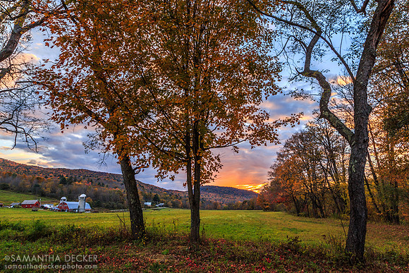 Arlington, Vermont, 2014