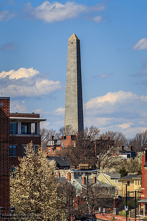 Bunker Hill Monument from a Distance, Boston