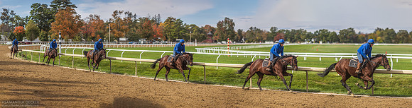 Mary Union Ave Gallop Sequence, 2023