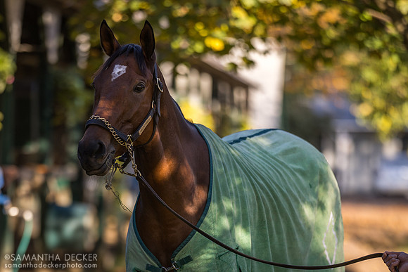 War Like Goddess, Oklahoma Track, 2023