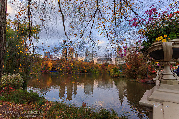 Central Park