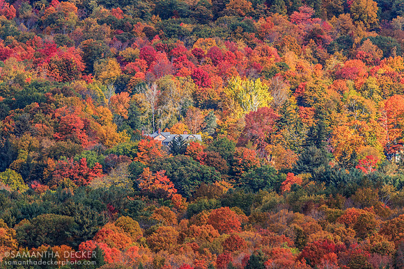 House in the Hills, Stockbridge, MA