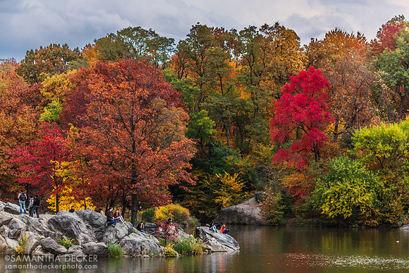 Central Park
