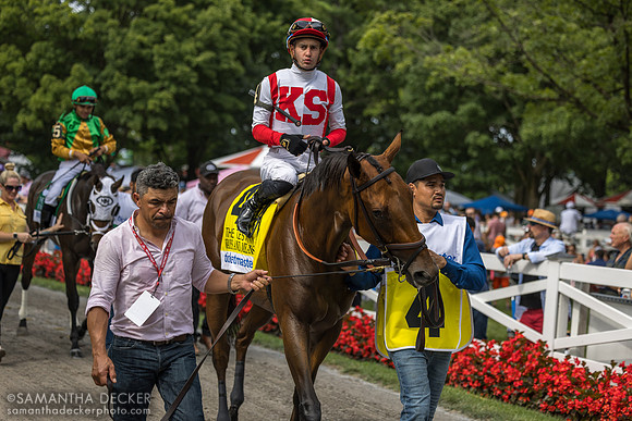 Ways and Means, winner of the Test S.