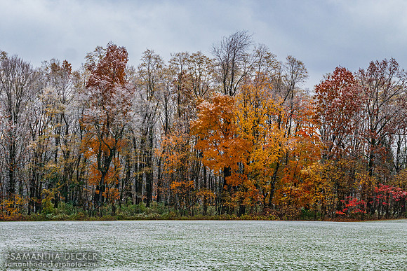 Fall and Winter Converge, Wilton, NY