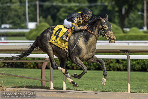 Poca Mucha wins the De La Rose S.