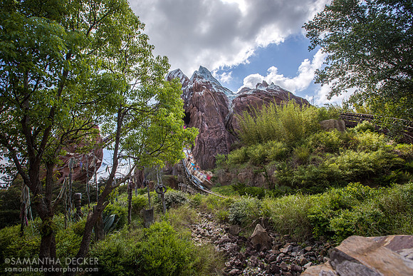 Expedition Everest, Disney's Animal Kingdom