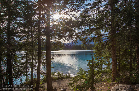 Lac Beauvert, Jasper National Park, AB