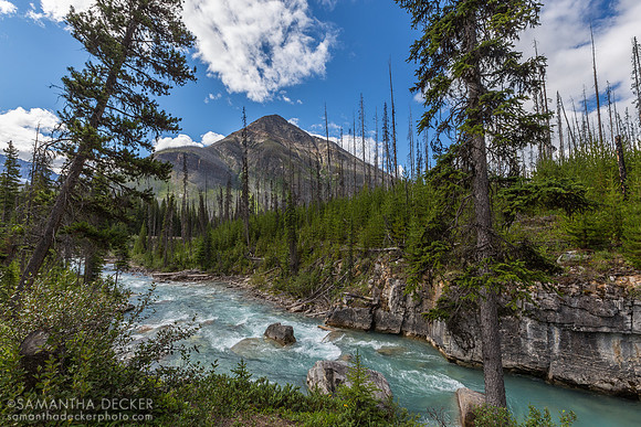 Marble Canyon, Kootenay National Park, BC