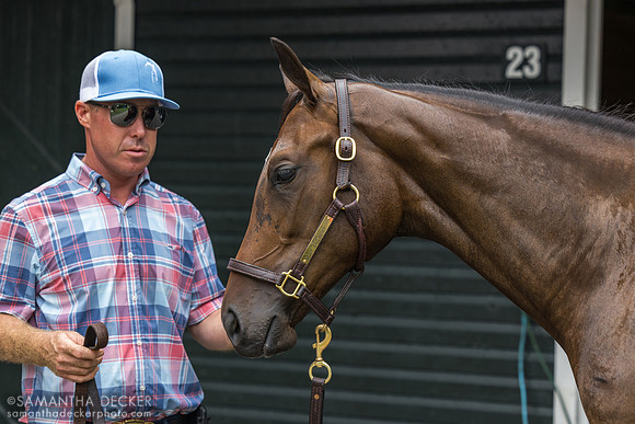Billy Love with a Yaupon filly o/o Belle Gallantey