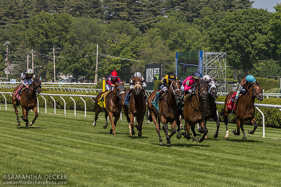Clear Conscience wins the Kingston