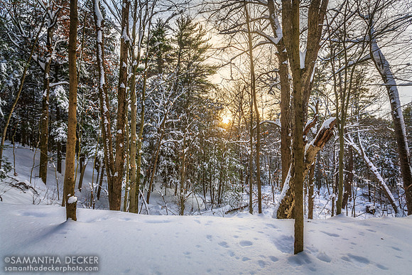 Saratoga Spa State Park Under a Blanket of Snow