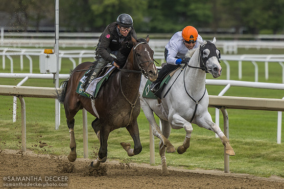 Sovereignty and Arthur's Ride