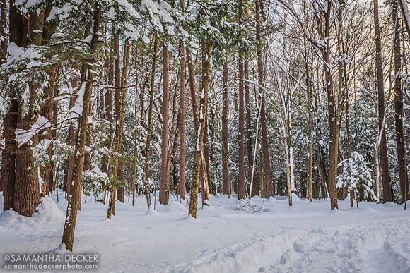 Saratoga Spa State Park in Winter
