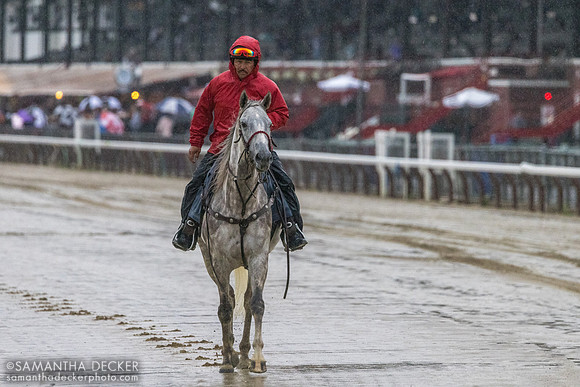 Outrider Miguel Gutiérrez, 2022