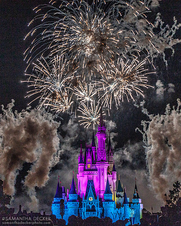 Wishes Fireworks, Magic Kingdom