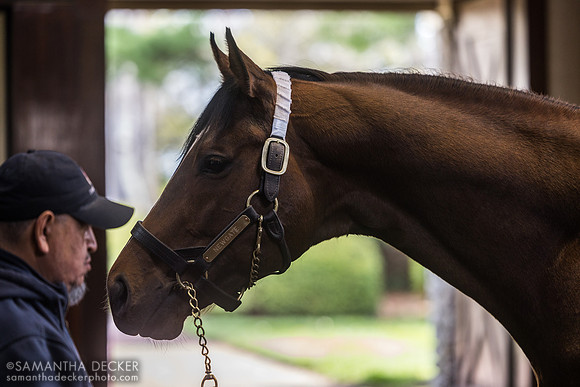 Newgate, Three Chimneys Farm, Midway, KY