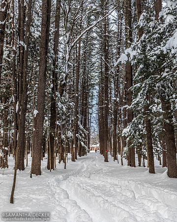 Saratoga Spa State Park in Winter