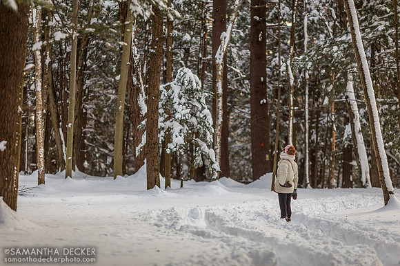 Saratoga Spa State Park in Winter