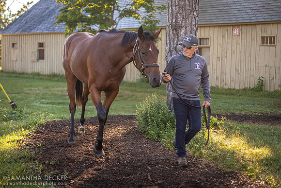 Vallelujah and Robbie Davis