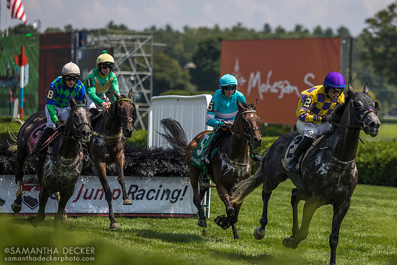 Jimmy P wins the Jonathan Sheppard H.