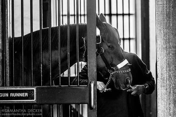 Gun Runner, Three Chimneys Farm, Midway, KY