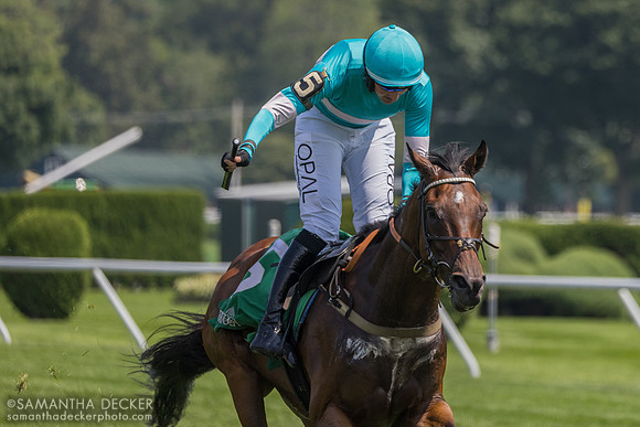 Jimmy P wins the Jonathan Sheppard H.