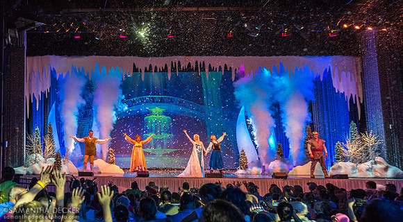 For the First Time in Forever:  A Frozen Sing Along, Disney's Hollywood Studios