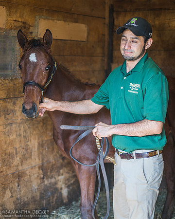Chic Shin, Fasig Tipton