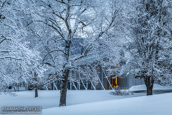 Tang Museum in Winter