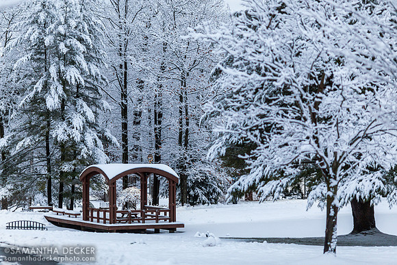 Haupt Pond Covered in Snow, Skidmore College, Saratoga Springs, NY