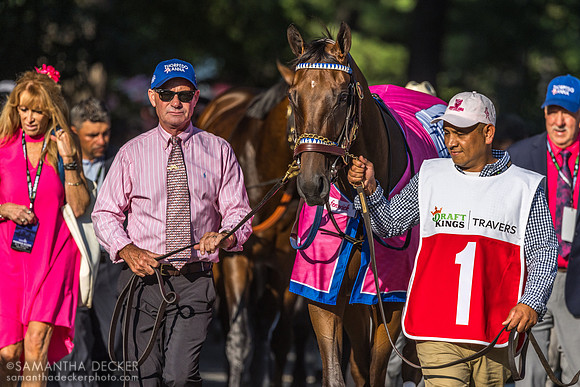 Thorpedo Anna entering the paddock