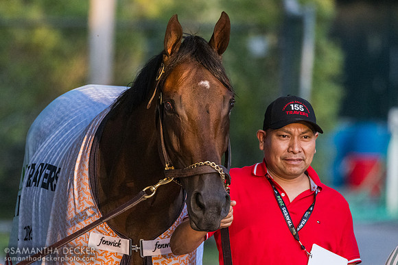 Fierceness heads back to the barn