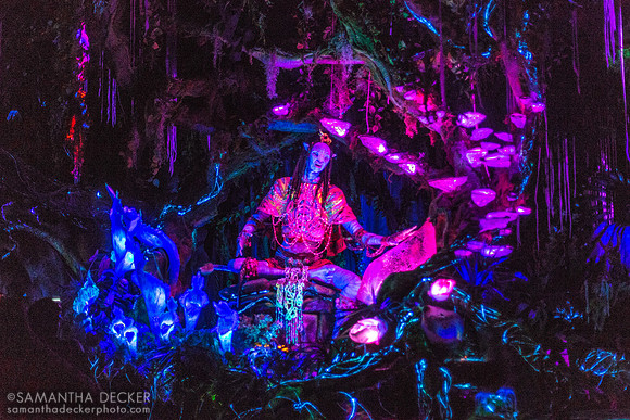 Na'vi River Journey, Disney's Animal Kingdom, Walt Disney World
