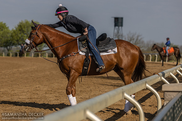Sophie Green gives her pony a pet, Keeneland, 2025