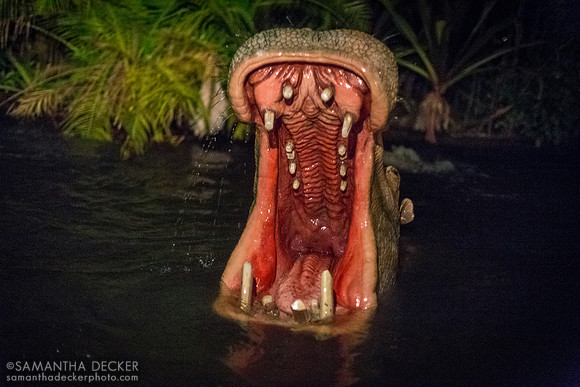 Hippo, Jungle Cruise, Magic Kingdom, Walt Disney World