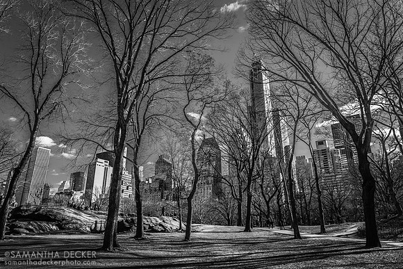Central Park in Winter