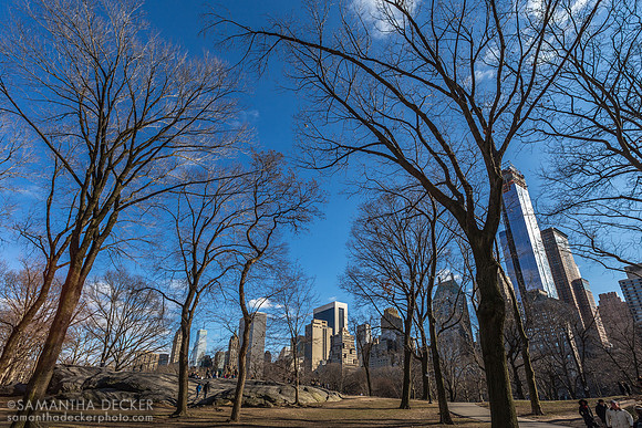 Central Park