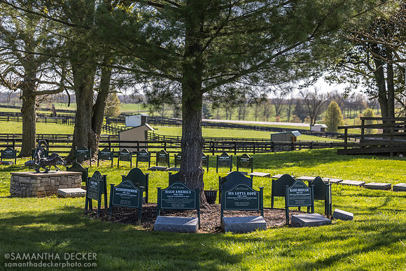Cemetery, Old Friends, Georgetown, KY, 2025