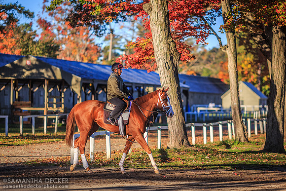 Fall at the Oklahoma Track, 2014
