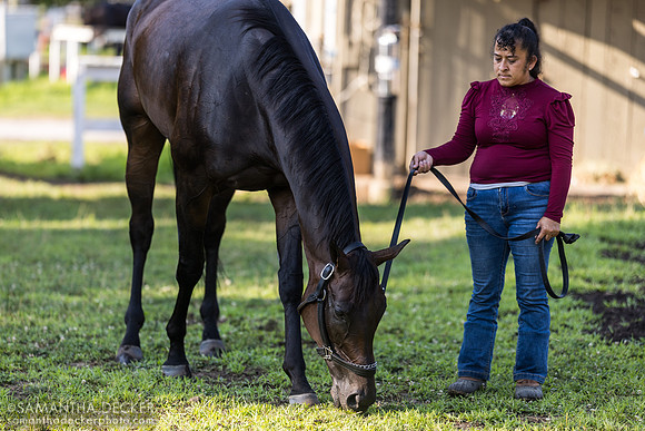 Emiliana Herrera grazes Warrior Johny