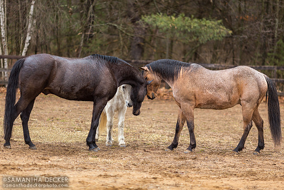 Group Huddle