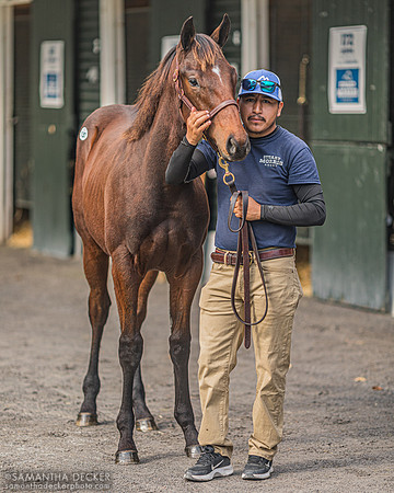 Fasig-Tipton