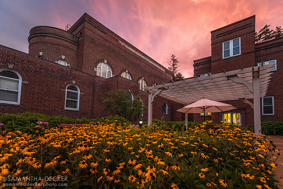 Beautiful Light Over the Grove, 2020