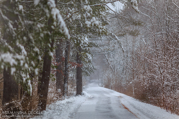 A Snowy Path, Spring Run Trail, Saratoga Springs, NY, 2016