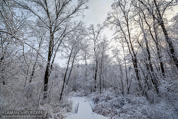 Spring Run Trail, Saratoga Springs, NY, 2020