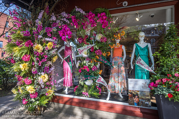 Violet's Belmont Display