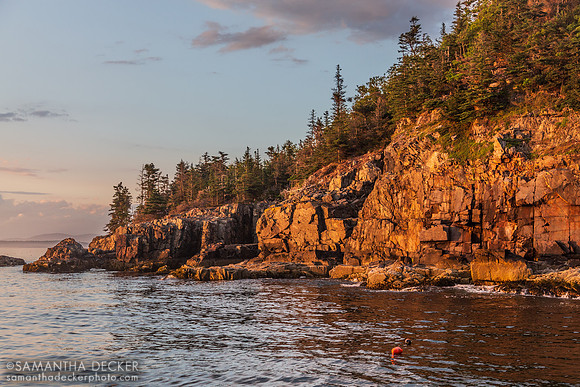 Long Porcupine Island, Acadia National Park